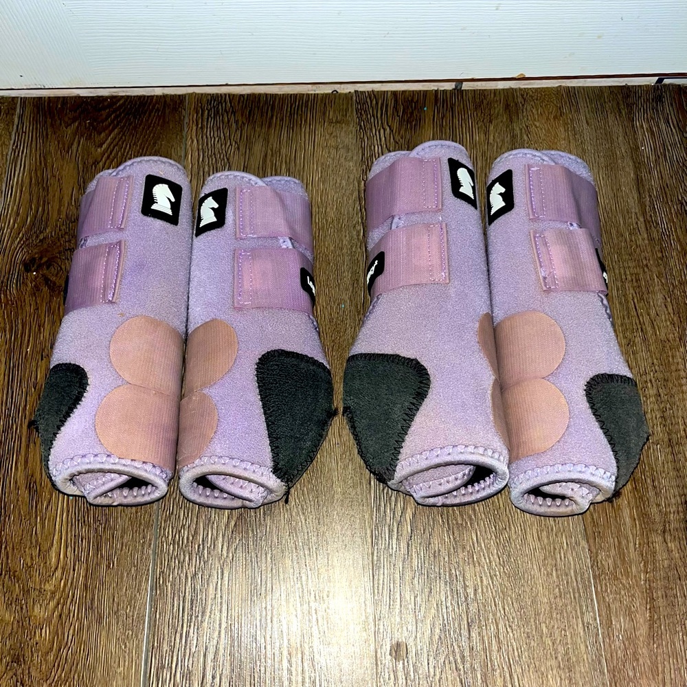 Classic equine horse boots